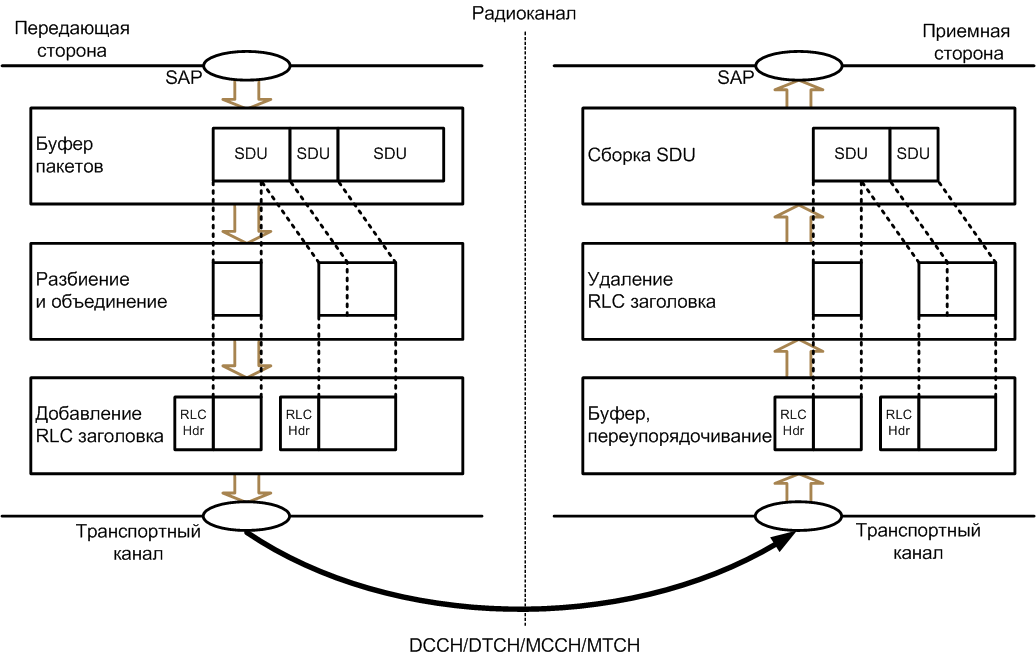 UM RLC entities